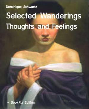Cover of the book Selected Wanderings by Robert Stetson