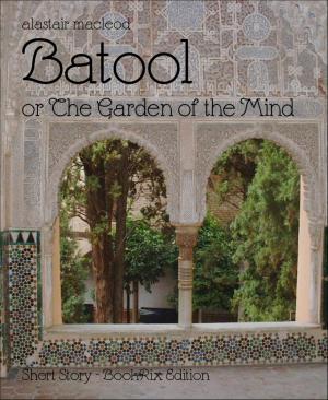 Cover of the book Batool by W. A. Hary