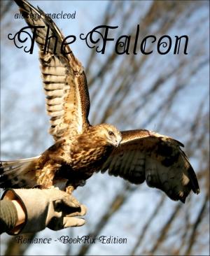 Cover of the book The Falcon by heidi jacobsen