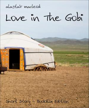 Book cover of Love in The Gobi