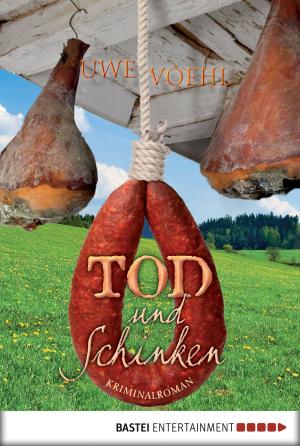Cover of the book Tod und Schinken by Jörg Kleudgen