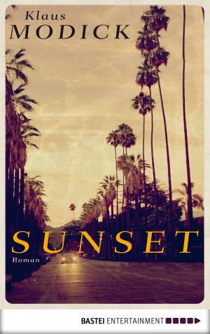 Cover of the book Sunset by C. L. Wilson