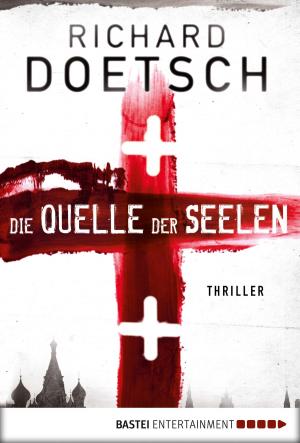 Cover of the book Die Quelle der Seelen by Christine Kabus