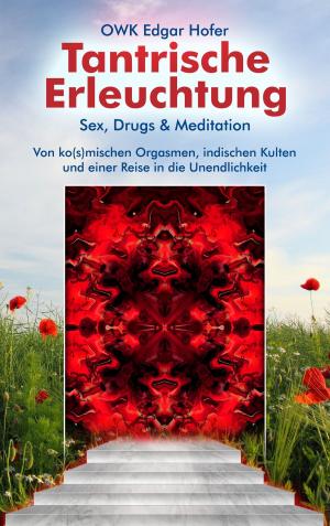 Cover of the book Tantrische Erleuchtung by Michael Born