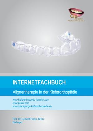 Cover of the book Internetfachbuch by Kurt Tepperwein
