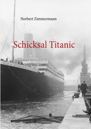 Cover of the book Schicksal Titanic by Anne Faro