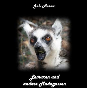 Cover of the book Lemuren und andere Madagassen by Theo von Taane