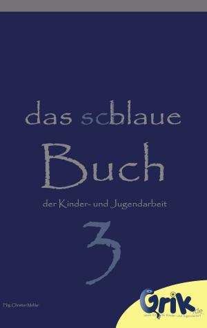 Cover of the book das schlaue, blaue Buch der Kinder- und Jugendarbeit 3 by Wolfgang Peter-Michel