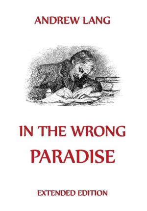 Cover of the book In the Wrong Paradise by Adalbert Stifter