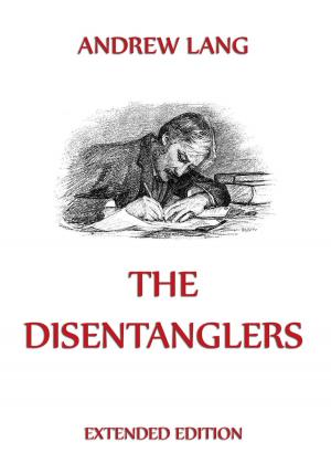 Cover of the book The Disentanglers by Ellis Paxson Oberholtzer