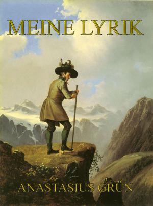 Cover of the book Meine Lyrik by Edward William Lane