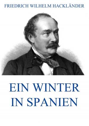 Cover of the book Ein Winter in Spanien by Jacob Burckhardt