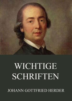 Cover of the book Wichtige Schriften by Jean Paul