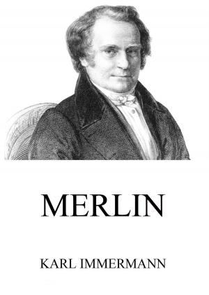 Cover of the book Merlin by Wilhelm Busch