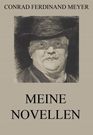 Book cover of Meine Novellen