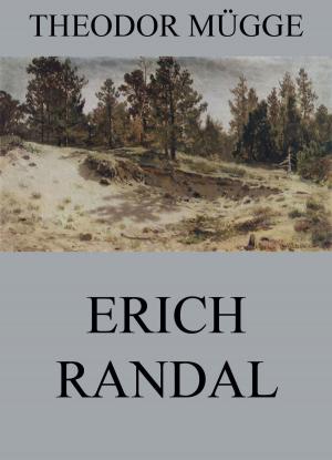 Cover of the book Erich Randal by Georg Simmel