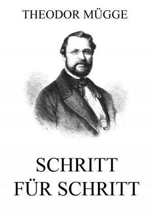 Cover of the book Schritt für Schritt by Jules Verne