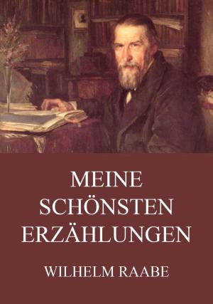 Cover of the book Meine schönsten Erzählungen by Georg Simmel