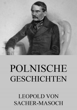 Cover of the book Polnische Geschichten by Jakob Michael Reinhold Lenz