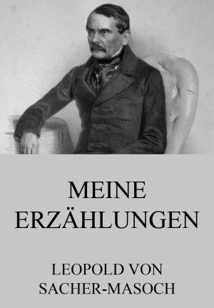 Book cover of Meine Erzählungen