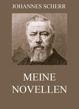 Cover of the book Meine Novellen by Jules Verne