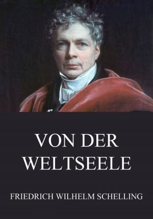 Cover of the book Von der Weltseele by John Locke