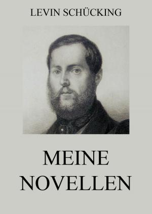 Cover of the book Meine Novellen by Johannes Scherr