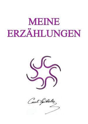 Cover of the book Meine Erzählungen by Antoine-Joseph Pernety