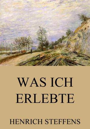 Cover of the book Was ich erlebte by Viktor Nessler, Rudolf Bunge