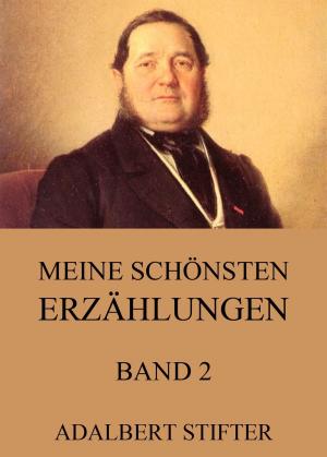 Book cover of Meine schönsten Erzählungen, Band 2