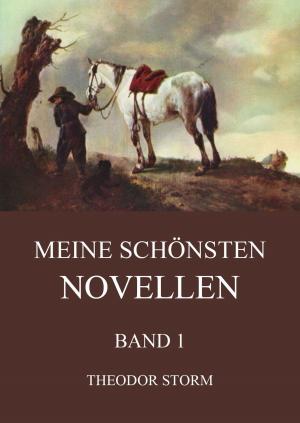 Cover of the book Meine schönsten Novellen, Band 1 by Christoph Martin Wieland