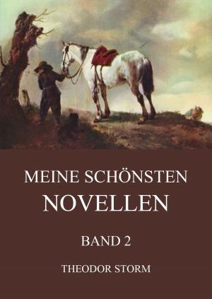 Cover of the book Meine schönsten Novellen, Band 2 by Edward Bulwer-Lytton