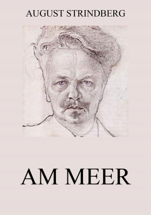 Cover of the book Am Meer by Gotthold Ephraim Lessing