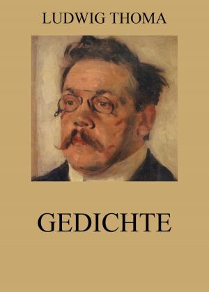 Cover of the book Gedichte by Commodianus
