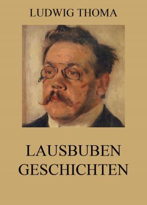 Cover of the book Lausbubengeschichten by James Mooney