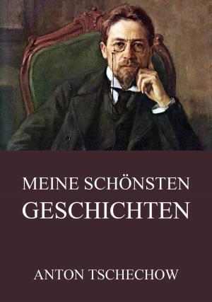 Cover of the book Meine schönsten Geschichten by John Calvin