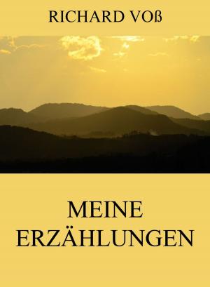 Cover of the book Meine Erzählungen by Edmund Burke