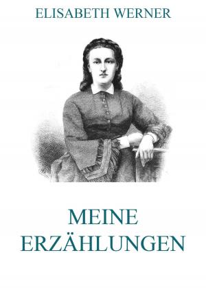 Cover of the book Meine Erzählungen by Mary Wollstonecraft Shelley
