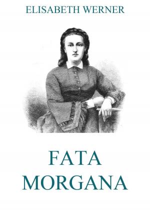 Book cover of Fata Morgana
