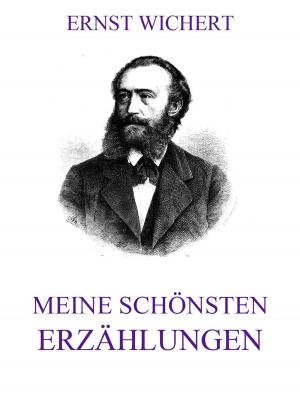 Cover of the book Meine schönsten Erzählungen by Johann Wolfgang von Goethe