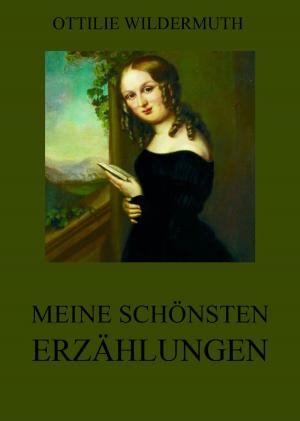 Cover of the book Meine schönsten Erzählungen by Gustav Theodor Fechner