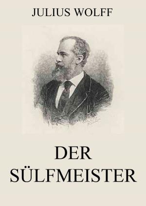 Cover of the book Der Sülfmeister by Jakob Michael Reinhold Lenz