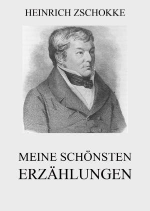 Cover of the book Meine schönsten Erzählungen by Friedrich Nietzsche