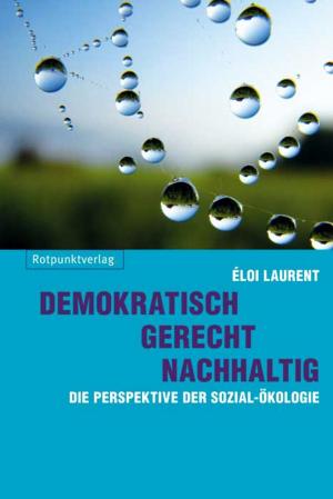 Book cover of Demokratisch - gerecht - nachhaltig