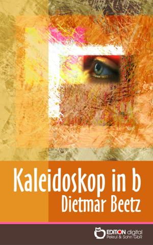 Cover of the book Kaleidoskop in b by Jan Flieger
