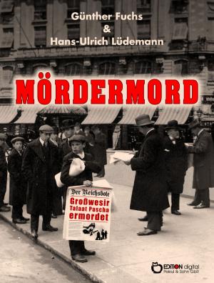 Cover of the book Mördermord by Gerhard Dallmann