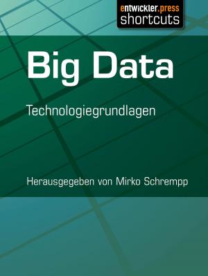 Cover of the book Big Data by Matthias Fischer, Dr. Holger Schwichtenberg, Martin Möllenbeck