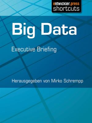 Cover of the book Big Data by Marc André Zhou, Michael Greth, Thomas Roth, Judith Andresen, Olena Bochkor, Dr. Veikko Krypzcyk