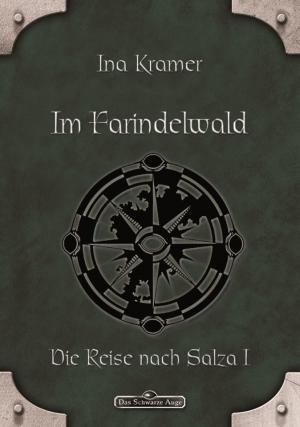 Cover of the book DSA 16: Im Farindelwald by J. Steven York
