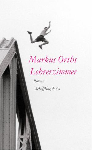 Cover of the book Lehrerzimmer by Mirko Bonné